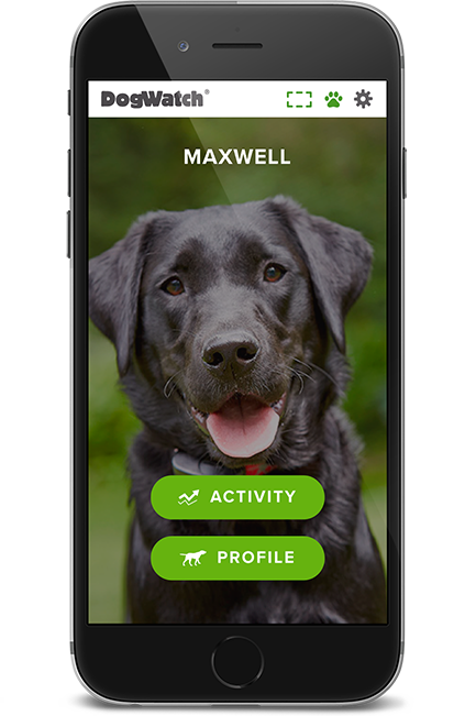 DogWatch of Spokane and Northern Idaho, Spokane, Washington | SmartFence WebApp Image